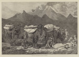 Transportera varor i östra Turkestan